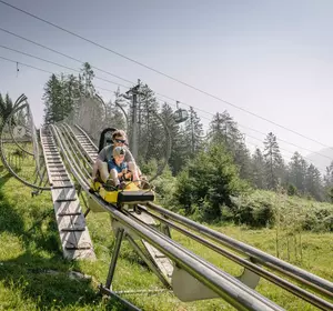 Alpine Coaster Fahrt im Sommer in Tirol